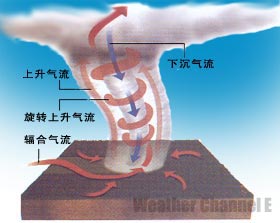 关于“台风” 你知道多少