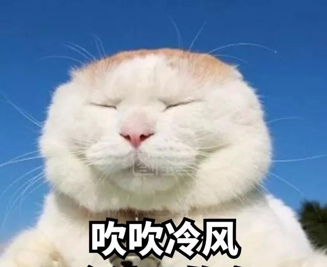 今天最低11℃!春节天气怎样?你关心的都在这丨百事通