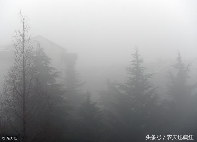 2019年春节期间天气如何,雨雪多不多?农民早了解早准备!