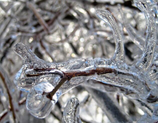 干雪和湿雪有什么区别 干雪和湿雪哪个化的快