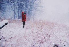 暴雪什么颜色预警信号停