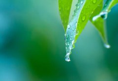 雨滴怎么形成的 雨滴的形