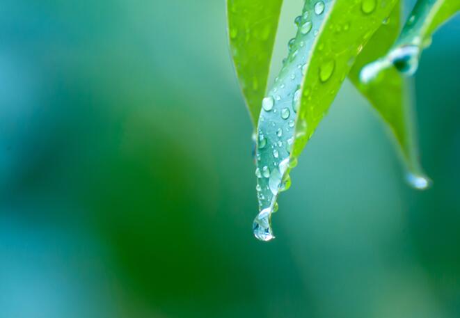 雨滴怎么形成的 雨滴的形成过程是怎样的