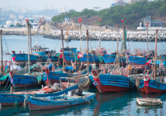 沿海地区如何防御台风 台