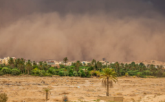 沙尘天气的危害有哪些 沙