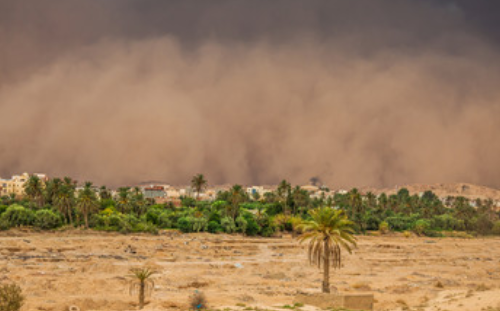 沙尘天气的危害有哪些 沙尘对交通农业及身体的影响