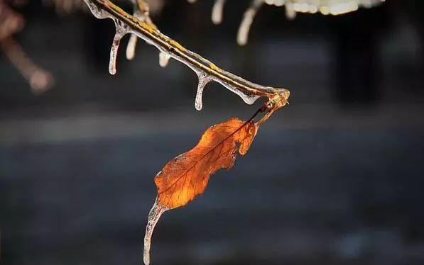 气象科普|滴水成冰,你了解冻雨吗?