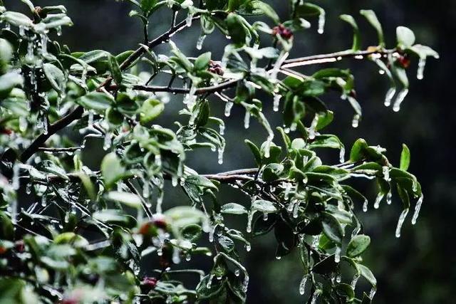 气象科普|滴水成冰,你了解冻雨吗?