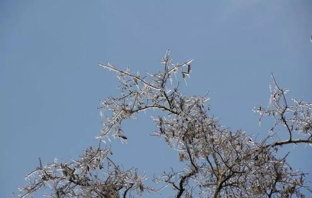 气象科普|滴水成冰,你了解冻雨吗?