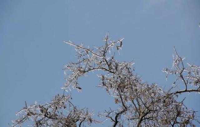 气象科普｜滴水成冰，你了解冻雨吗？