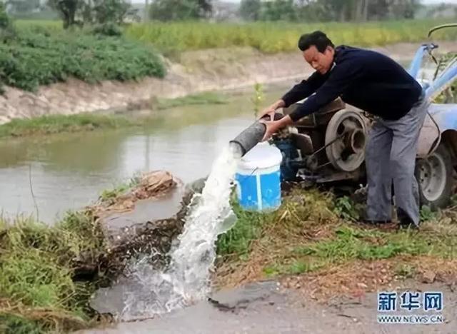 「气象科普」寒露风危害及其防御