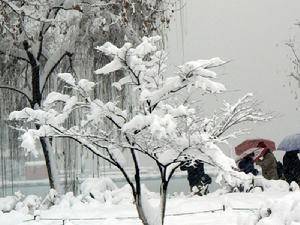 小编告诉你什么是“暴雪黄色预警信号”-图2