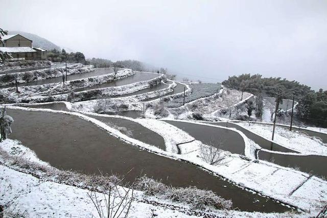 雨雪冰冻天气持续 缙云第一时间开展抗冰雪灾工作