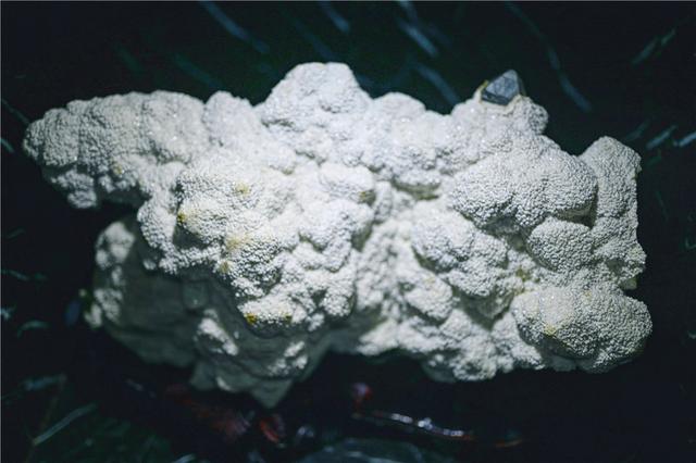 辽宁这个城市风景美丽,物价比沈阳低,可是去的人不多