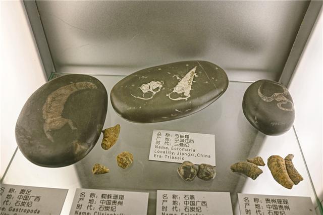 辽宁这个城市风景美丽,物价比沈阳低,可是去的人不多