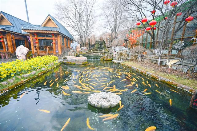 辽宁这个城市风景美丽,物价比沈阳低,可是去的人不多
