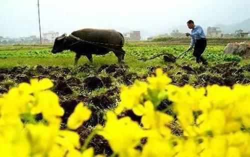 「健康生活小常识」今日立春