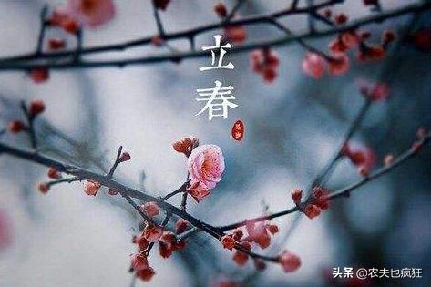 今日迎立春,立春当天是晴天好还是雨天好?五句老农谚告诉你答案