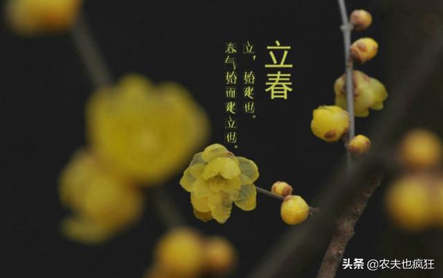 立春将至,5句立春的农谚,可预测天气和年景好坏,你听过几句?