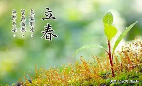 立春将至,5句立春的农谚,可预测天气和年景好坏,你听过几句?