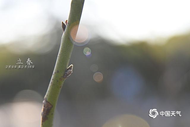 立春:源起万物始萌动 春归大地万象新