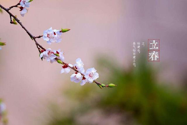 立春将至,为啥叫做立春呢,立春之后天气还冷吗,看完明白了