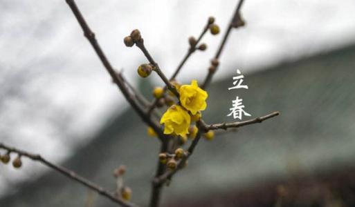 立春至，农谚“雷打立春节，惊蛰雨不歇”，什么意思？看完懂了