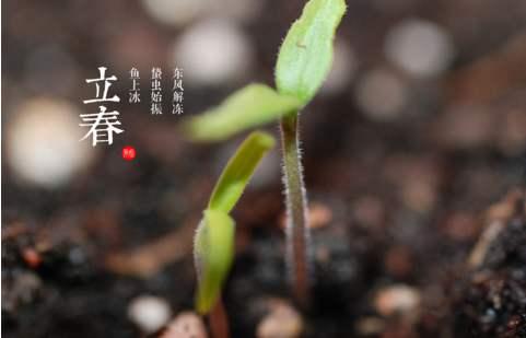 立春至，农谚“雷打立春节，惊蛰雨不歇”，什么意思？看完懂了