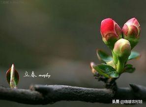 今日立春,未来三日雨雪天气光顾中华大地,返程农民工兄弟注意了