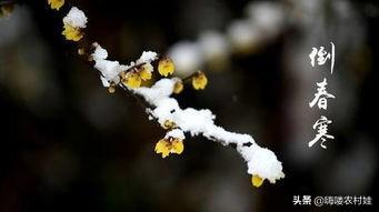 今日立春,未来三日雨雪天气光顾中华大地,返程农民工兄弟注意了