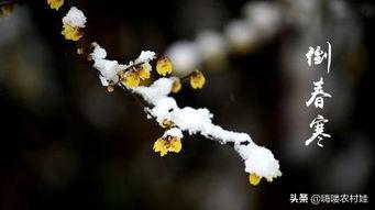 今日立春，未来三日雨雪天气光顾中华大地，返程农民工兄弟注意了