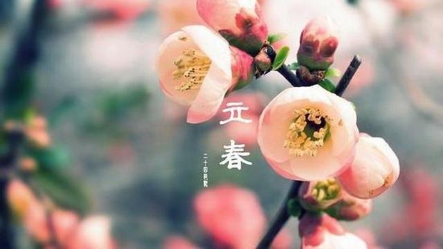 二十四节气｜立春养生，一条全知道！