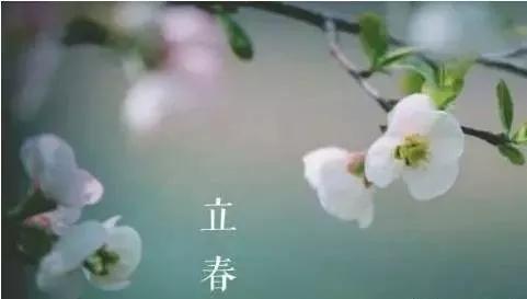 今日立春,今年是双春年,立春后天气还会冷吗?看完心里有数了