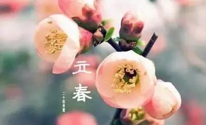 今日立春,今年是双春年,立春后天气还会冷吗?看完心里有数了