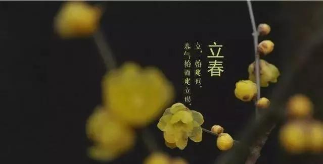 今日立春,今年是双春年,立春后天气还会冷吗?看完心里有数了