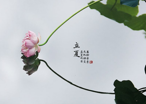 一起了解什么是“立夏”