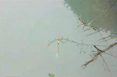 如浪过去了漂尾仍没出来
