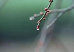 日照和降水开始趋于上升