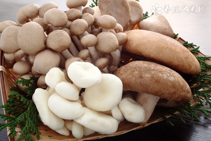 夏季适合喝什么茶