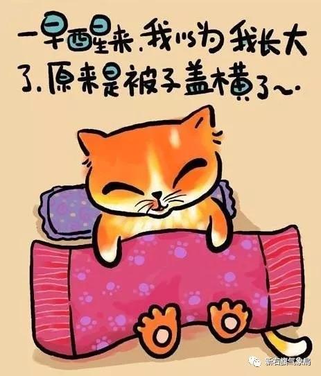 「气象科普」看了这么多年天气预报,您真的懂她妈?