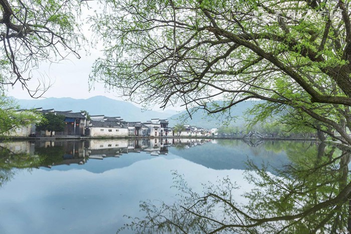 夏季去湿气喝什么好