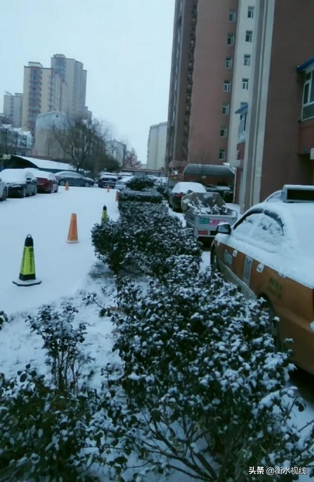 昨夜小雪飘落衡水城  元宵节天气晴朗 市民可居家赏月