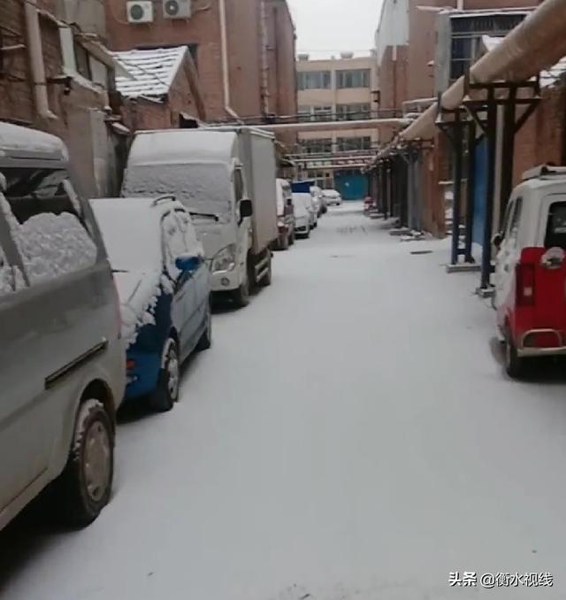 昨夜小雪飘落衡水城  元宵节天气晴朗 市民可居家赏月