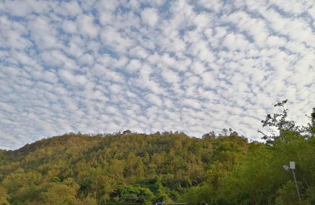 网友拍到温岭天空出现地震云,地震云真的存在吗?