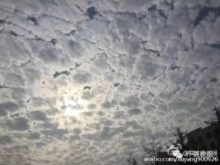 昨天潍坊上空的“地震云”，山东多地均出现！不必惊慌，无科学依据
