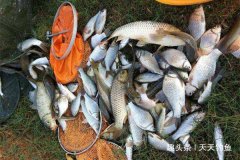 春季天气变化多端，技巧