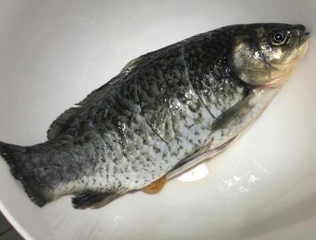 炖鲫鱼汤时，用开水还是冷水？做对了，鱼肉鲜香汤汁浓白，特好喝