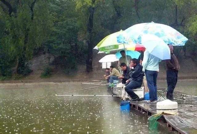 会看水色能看懂天气,这样你才能做到心中有数,知道哪里有鱼