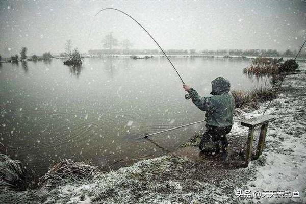 大雪过后钓鱼更难，选择这些天气出钓，渔获差不了