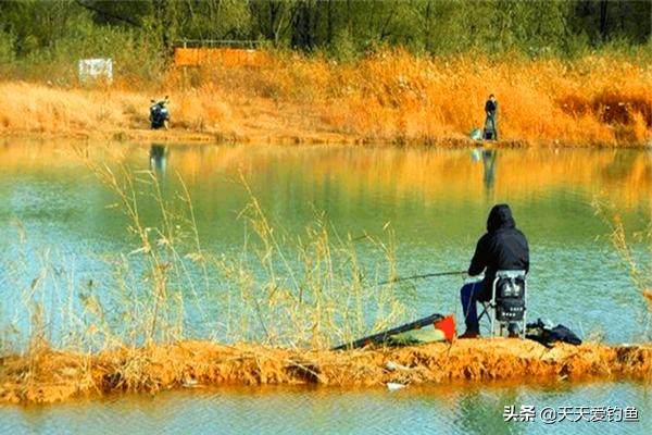 大雪过后钓鱼更难，选择这些天气出钓，渔获差不了